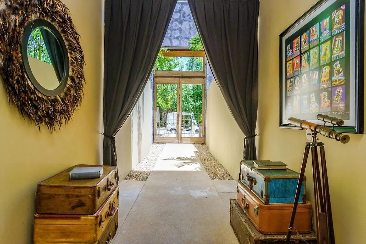 Daire Luxurious Oasis Jacuzzi With Art Gallery And Pool Tulum Meksika
