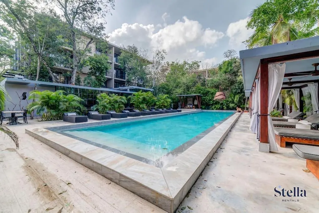 Daire Luxurious Oasis Jacuzzi With Art Gallery And Pool Tulum