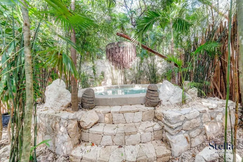 Luxurious Oasis Jacuzzi With Art Gallery And Pool Tulum Mexico